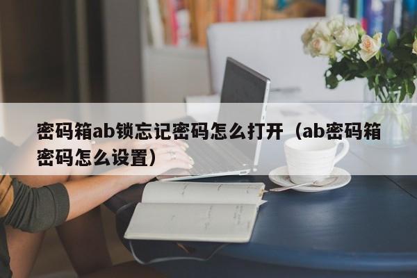 密码箱ab锁忘记密码怎么打开（ab密码箱密码怎么设置）